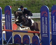 Valdo p Norrkping Horse Show